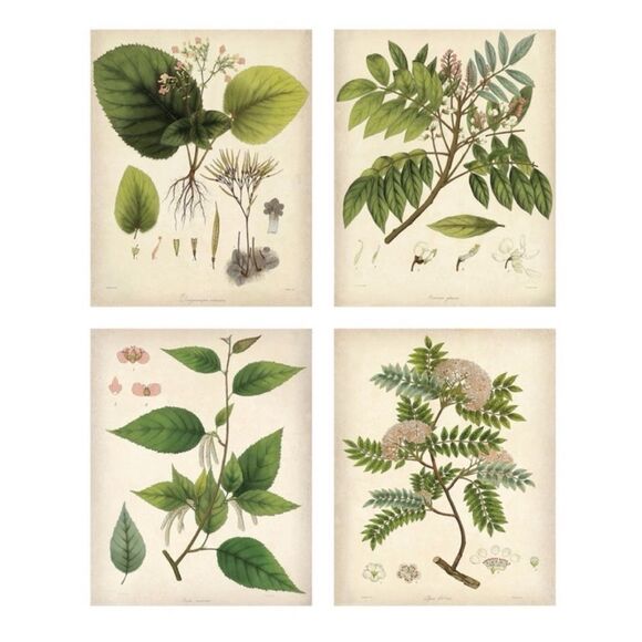 IKEA Bild Botanical Art Print Greenery New In Package - Picture 1 of 7